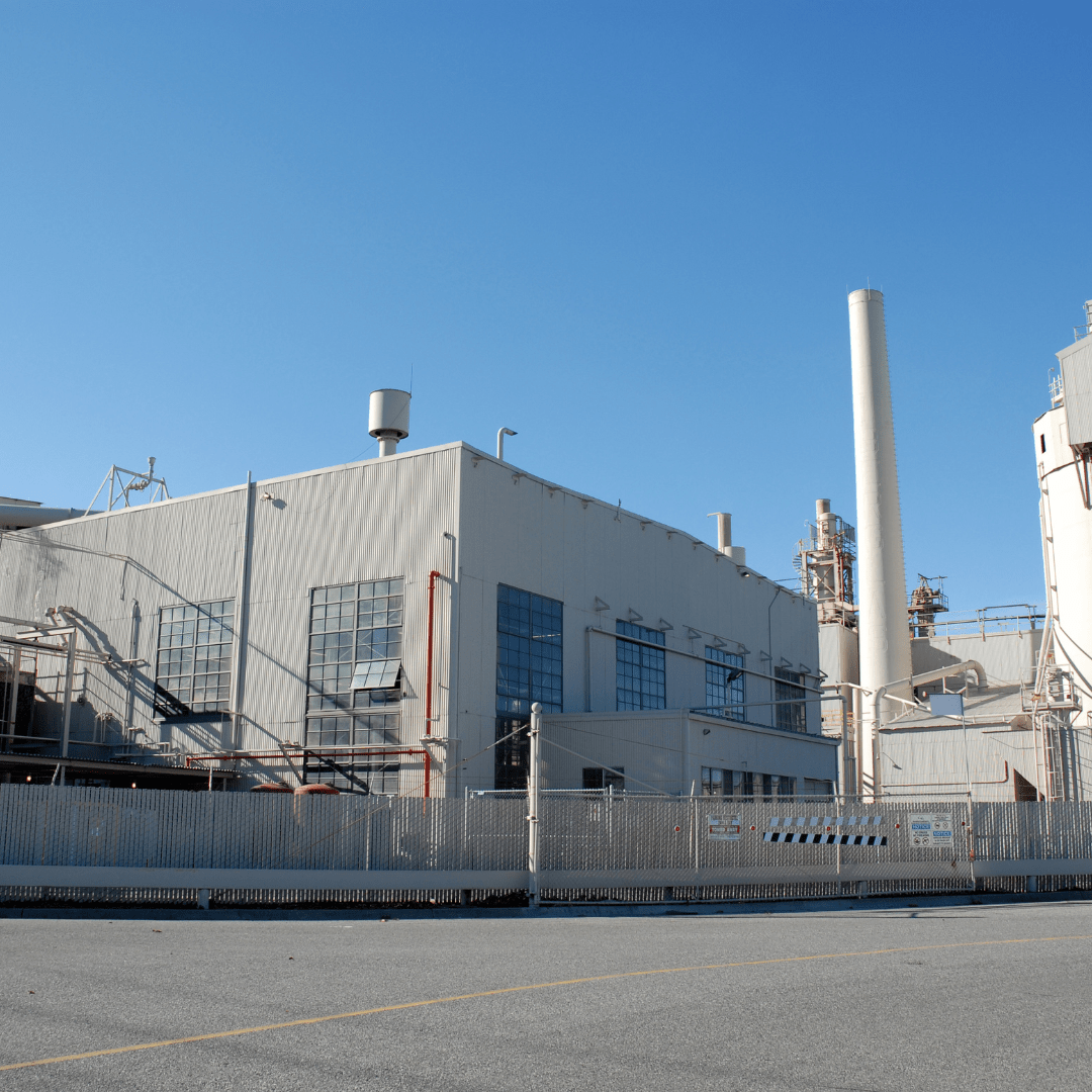 Rayn Ss Industrial Safety and Security - RAYN